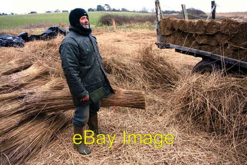 Photo 6x4 reed cutter - 6x4,