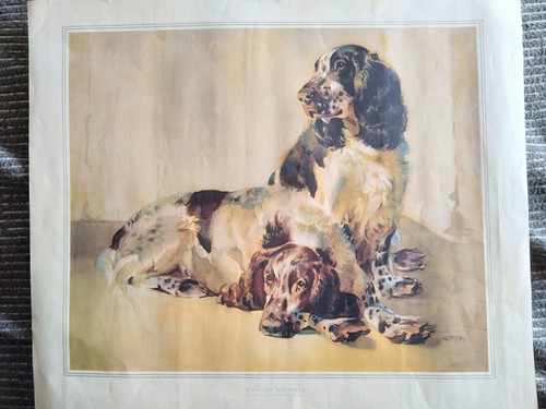 Large print english - of,
