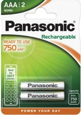 2x Panasonic 750MAH AAA
