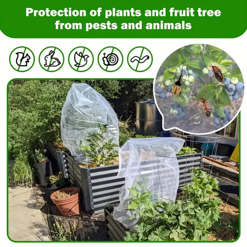 Garden plant protection - garden,