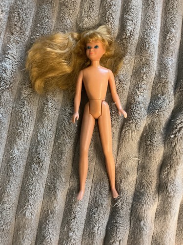 Vintage tnt skipper mattel - vintage,