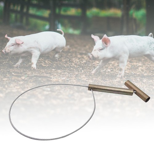 Hog catcher pole - catcher, holder