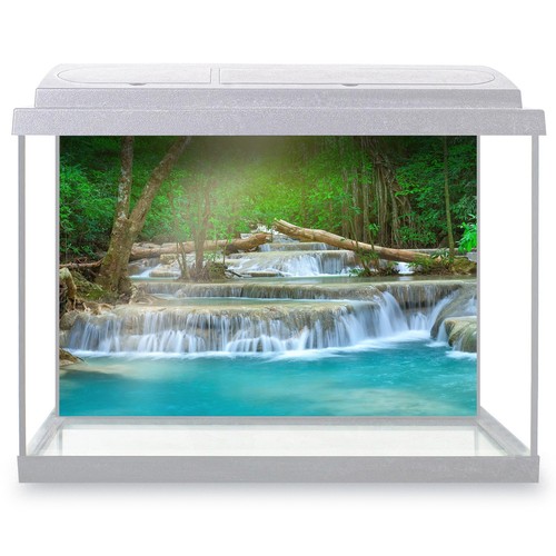 Fish tank background panoramic - tank,