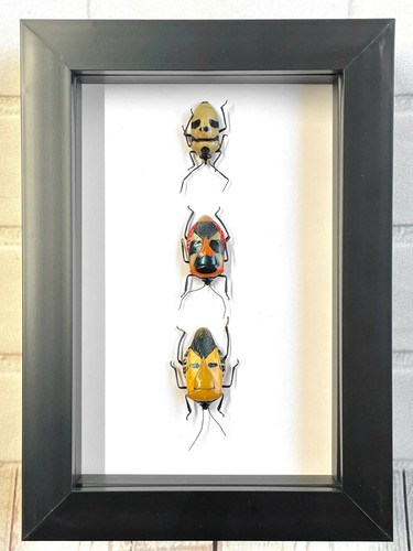 Man faced stink - 3, bug