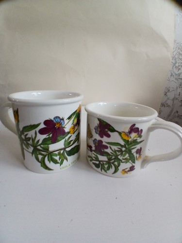 Portmeirion small