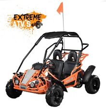 Off-Road buggy. Storm Buggies Hammerhead Mudhead 208R Kids  208cc Petrol