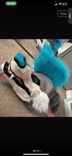 Fursuit Head