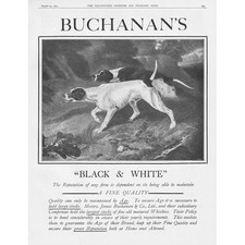 BUCHANAN'S Black & White Whisky Hunting Dogs Theme - Vintage Advertisement 1923