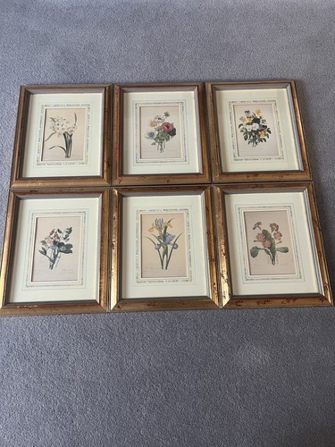 Set the fairest - set, 6