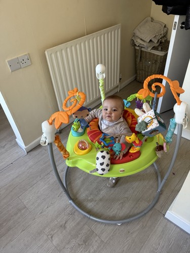 Fisher price jumperoo - fisher-price,
