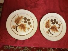 2 X Denby Cotswold Dinner