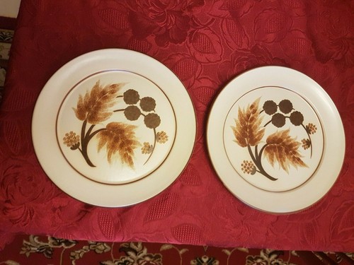 Denby cotswold dinner - 2,