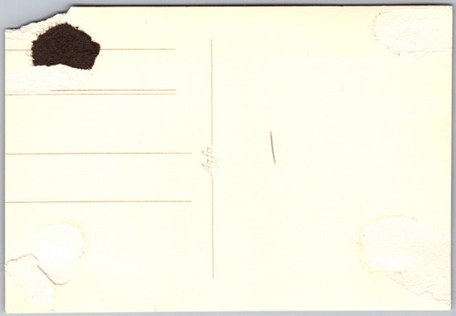 Vtg snapshot woman rowing - snapshot,