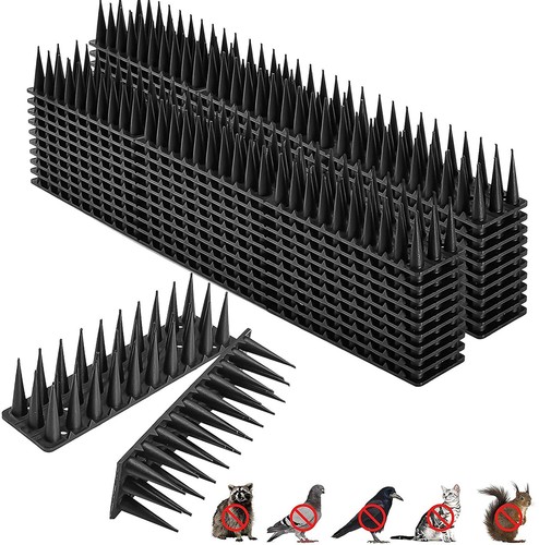 10m 20m 30m bird - 30m, for