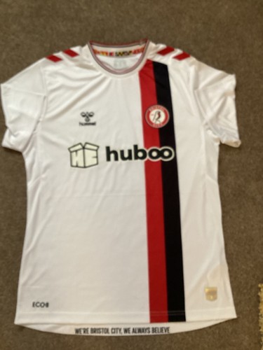 Bristol city mens football - bristol,