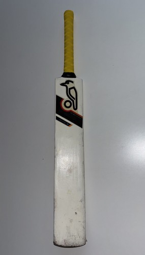 Kookaburra cricket bat - bat, prodigy