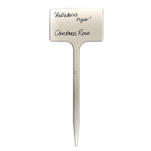Plant labels large - plant, labels-