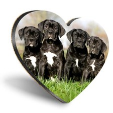 Heart mdf coaster cane corso - coaster,