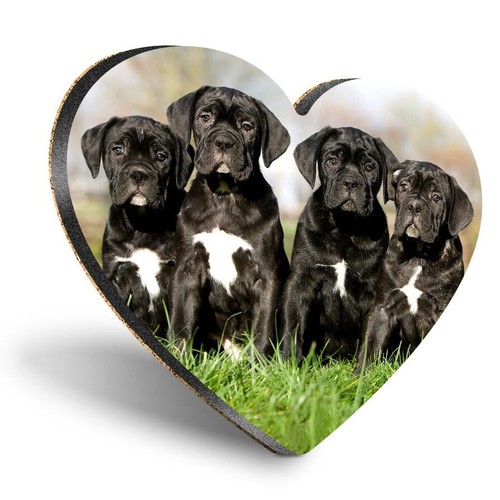 Heart mdf coaster cane - heart,