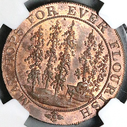 1794 ngc hops - ngc, ms