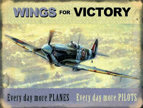 Wings for victory - wings,