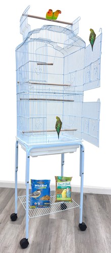 Open play top canary - play,