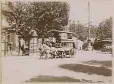 Horse-Drawn Vehicle On