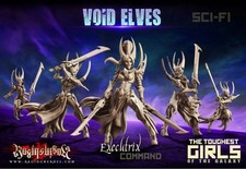 Raging Heroes Void Elves