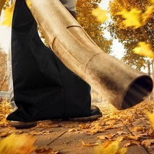 Premium Leaf Blower