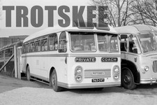 35mm Negative Potteries PMT