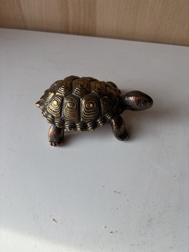 Lejeune tortoise car - lejeune,