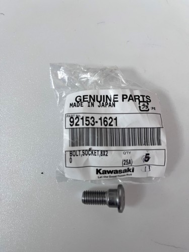 Oem genuine kawasaki zx10r - genuine,