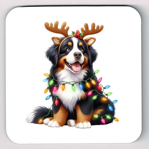 Bernese mountain dog coaster - dog,