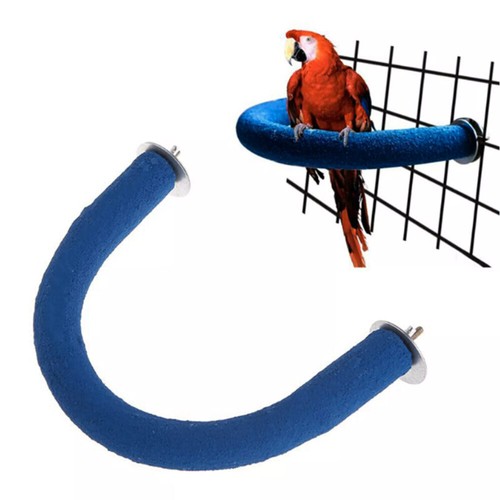 Shape parrot perch bird - parrot,