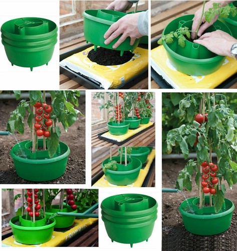 Set plant halos - set, watering