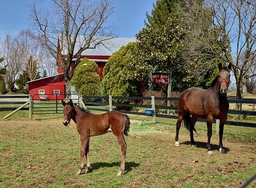 Photo highland township - photo:highland,
