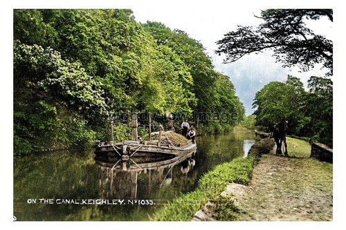 Ptc9278 yorks early view - -,