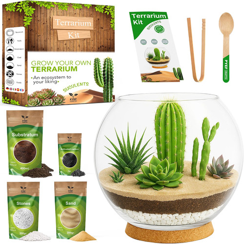 Diy terrarium kit for - terrarium,