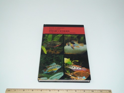 American dwarf cichlids - cichlids, i
