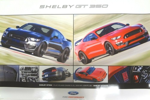 Shelby mustang gt350 gt350r - shelby,