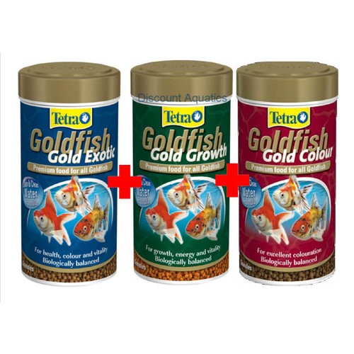 Tetra goldfish gold colour - tetra,