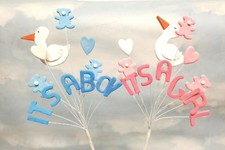 It's A Boy It's Girl Baby