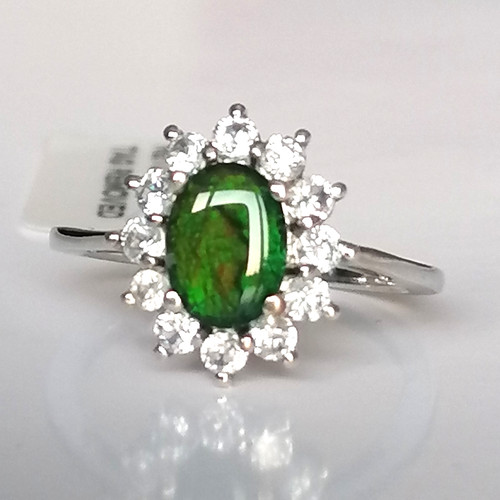 Canadian ammolite - canadian,