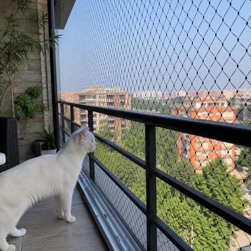 10m cat safety net - cat,