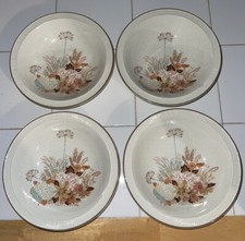 4 x Poole Summer Glory  6"