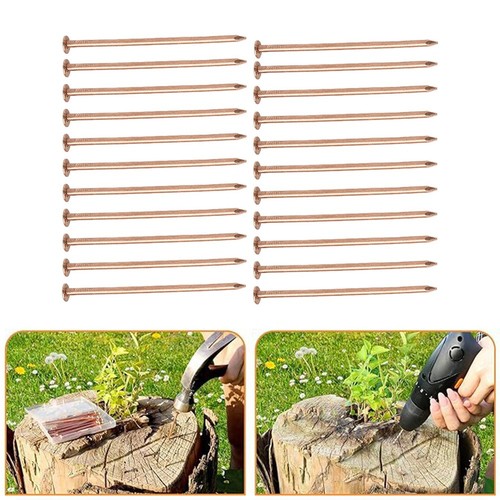 Tree stump removal copper - stump,