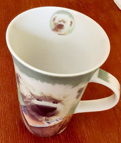 Leonardo lifestyle teatime - leonardo,