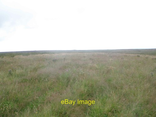 Photo 12x8 grassland the - grassland, to