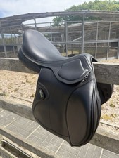 Amerigo Black Pinerolo Jump