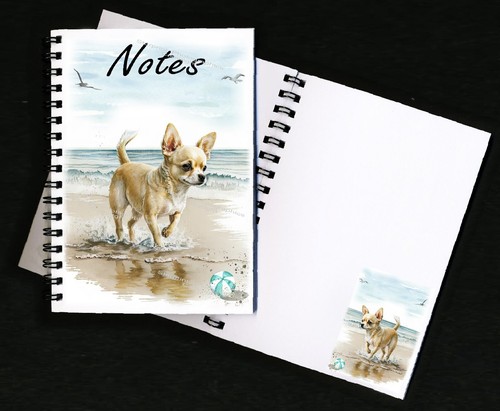 Chihuahua smoothcoat dog - chihuahua,